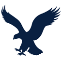 AMERICAN EAGLE OUTFITTERS INC logo