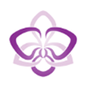 ALSP Orchid Acquisition I Corp logo