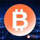 BITMINE IMMERSION TECHNOLOGIES, INC. logo