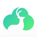 Bitdeer Technologies Group logo
