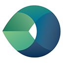 Camtek Ltd logo