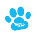 ChowChow Cloud International Holdings Limited Ordinary Shares logo