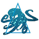 Coda Octopus Group Inc logo