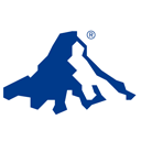 Invesco CurrencyShares Canadian Dollar Trust logo