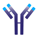 Immunovant Inc logo
