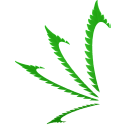 Kaya Holdings, Inc. logo