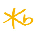 KB Financial Group Inc. logo