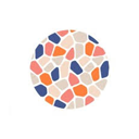 Veradermics, Incorporated Common Stock logo