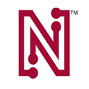 NETLIST INC logo