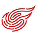 NetEase Inc logo