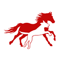 PetVivo Holdings Inc logo
