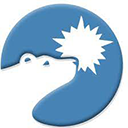 Polar Power Inc logo