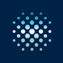 Rare Earths Americas, Inc. Common Stock logo