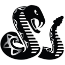 Rattler Midstream LP logo