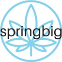 springbig Holdings Inc logo