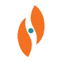 Stereotaxis logo