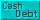 Cash / Debt Ratio (Ratio)